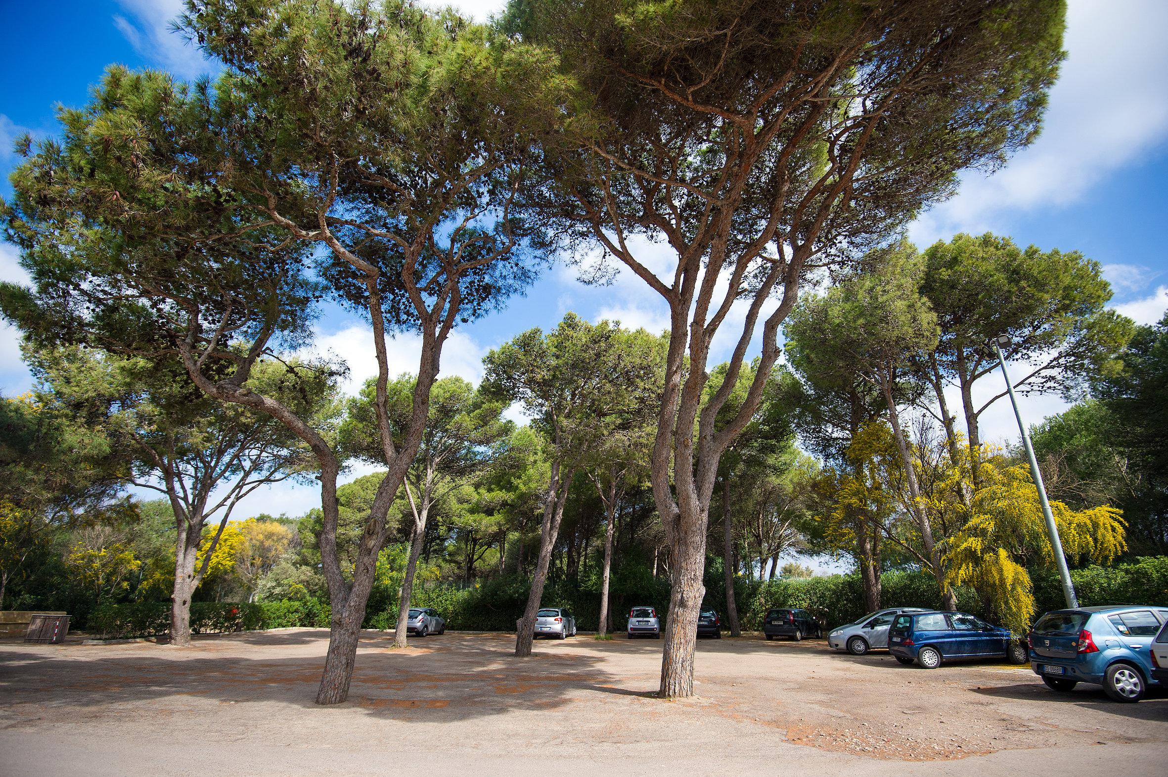 Ecoresort Le Sirene - Caroli Hotels Gallipoli Dış mekan fotoğraf