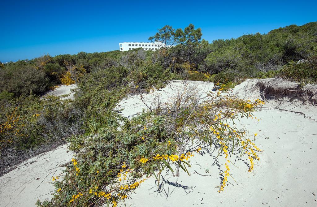 Ecoresort Le Sirene - Caroli Hotels Gallipoli Dış mekan fotoğraf